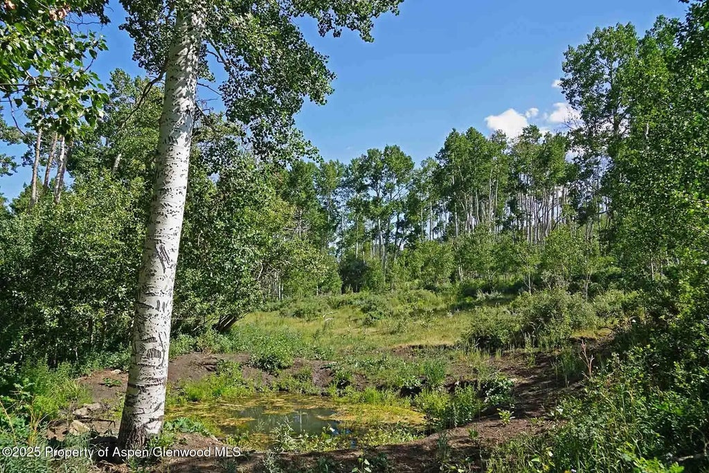 77 of 87 - 2650 Sweetwater Road, Gypsum, CO