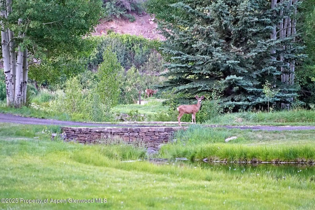 82 of 87 - 2650 Sweetwater Road, Gypsum, CO