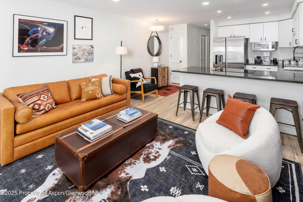 100 E Dean Street Unit 1-d, Aspen