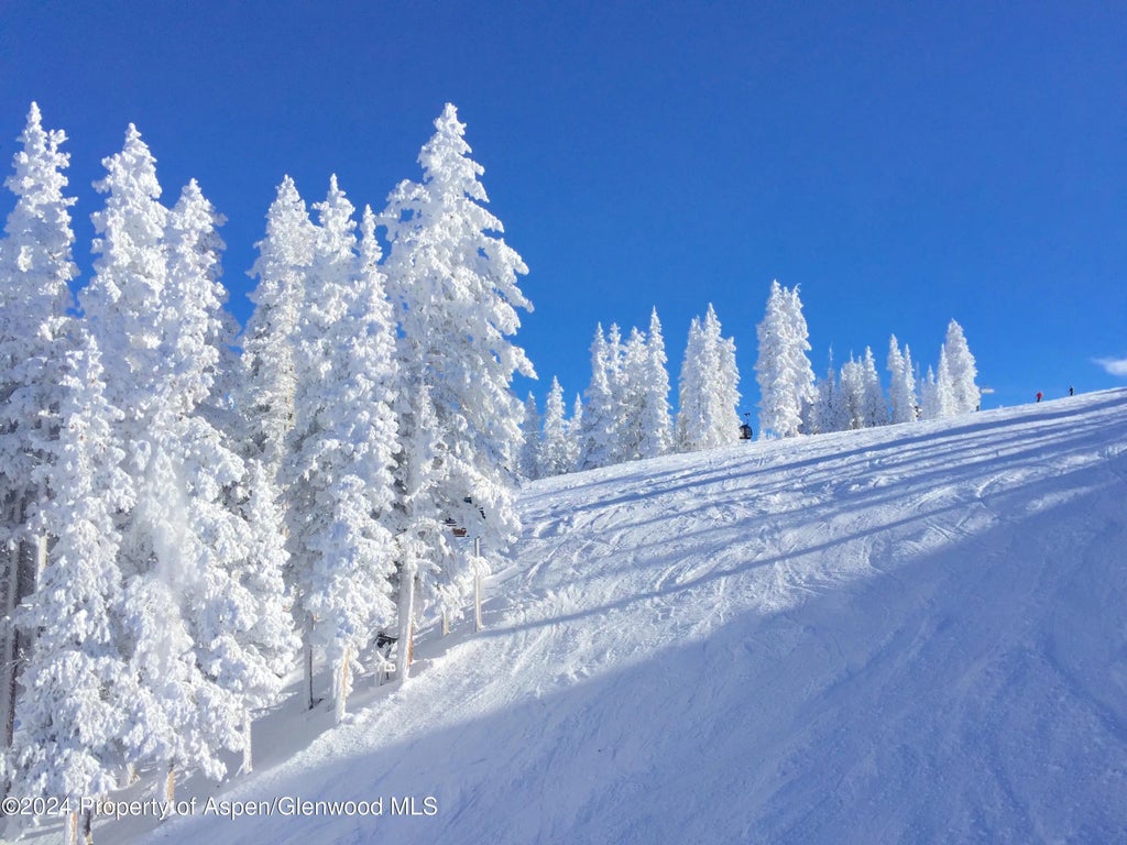 11 of 18 - 39 Boomerang Road 8411-17, Aspen, CO