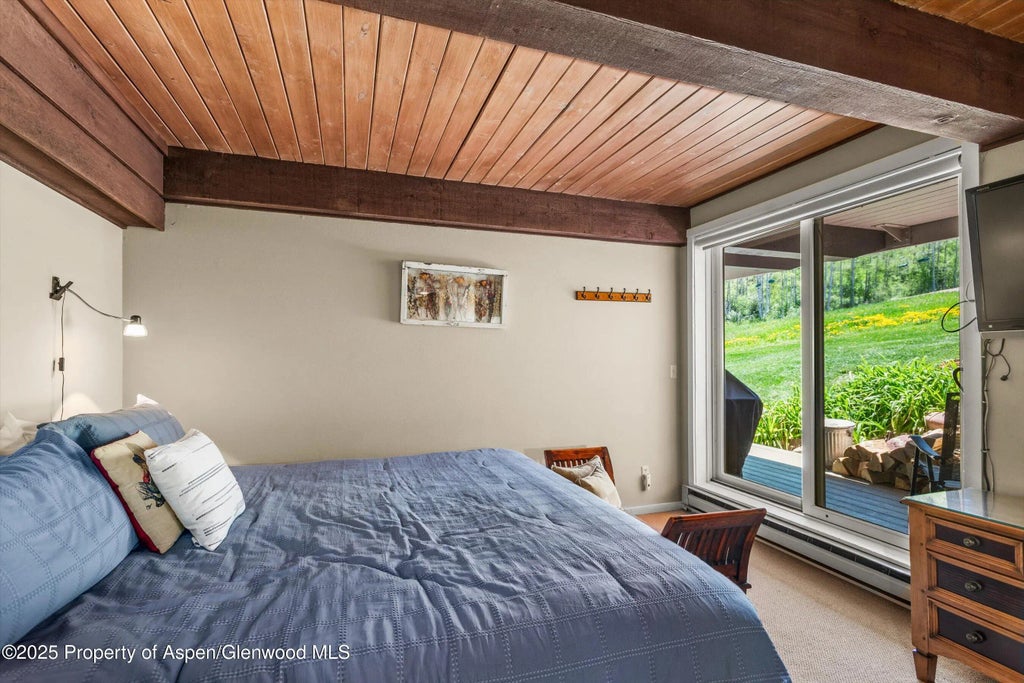 7 of 11 - 360 Wood Road Unit 103, Snowmass Village, CO