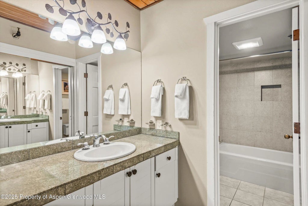 8 of 11 - 360 Wood Road Unit 103, Snowmass Village, CO