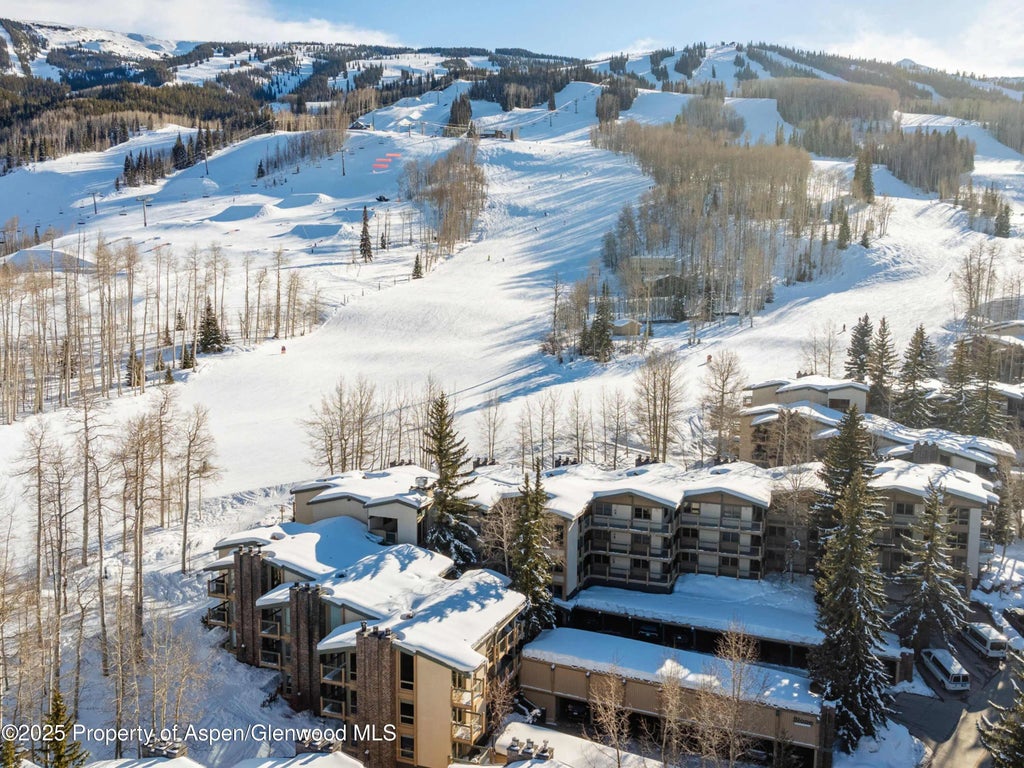 4 of 26 - 855 Carriage Way 103, Snowmass Village, CO