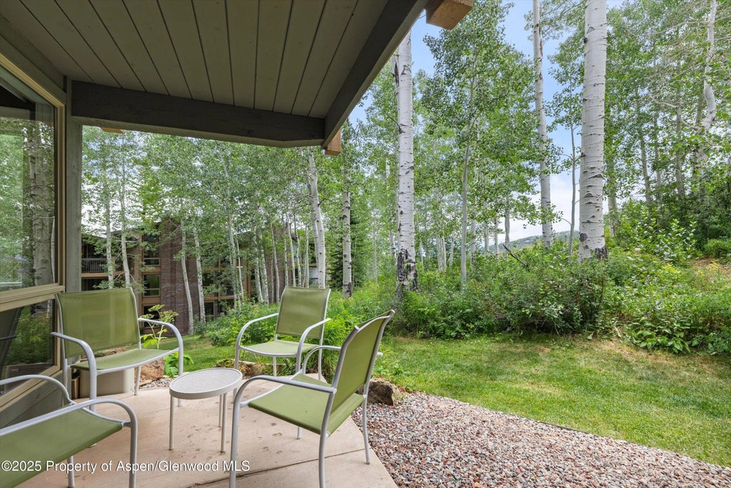 5 of 26 - 855 Carriage Way 103, Snowmass Village, CO