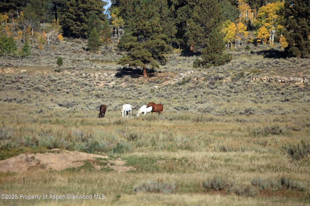 35 of 44 - Tbd Divide Road Entire Package, Whitewater, CO