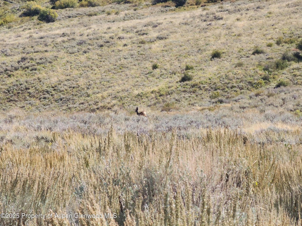 5 of 10 - Tbd Divide (mont's Draw) Road, Gateway, CO