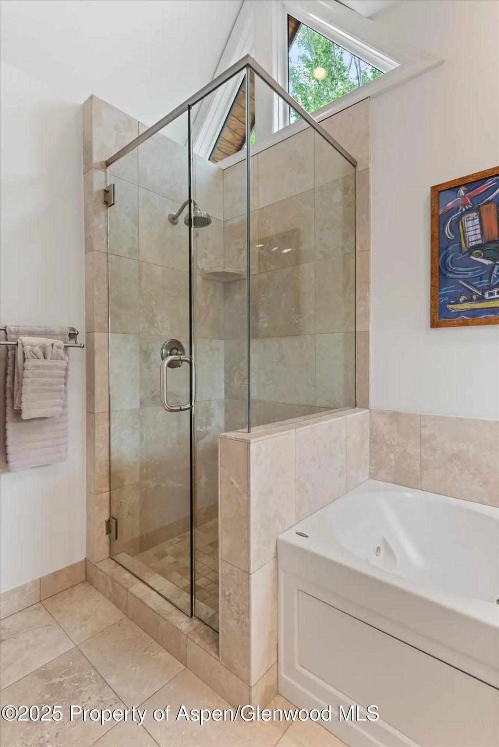 21 of 66 - 111 S Sixth Street Street, Aspen, CO