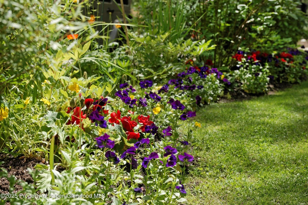 40 of 66 - 111 S Sixth Street Street, Aspen, CO