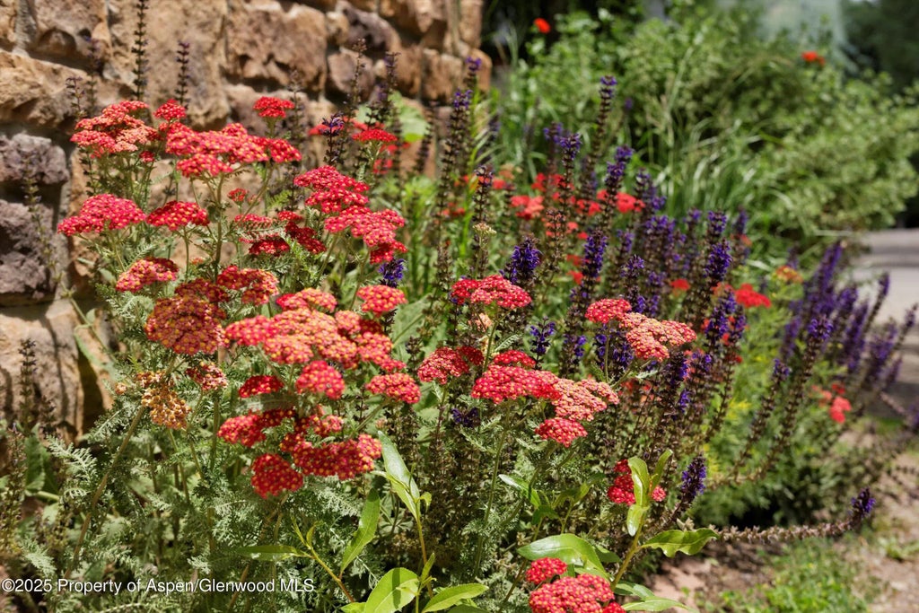 42 of 66 - 111 S Sixth Street Street, Aspen, CO