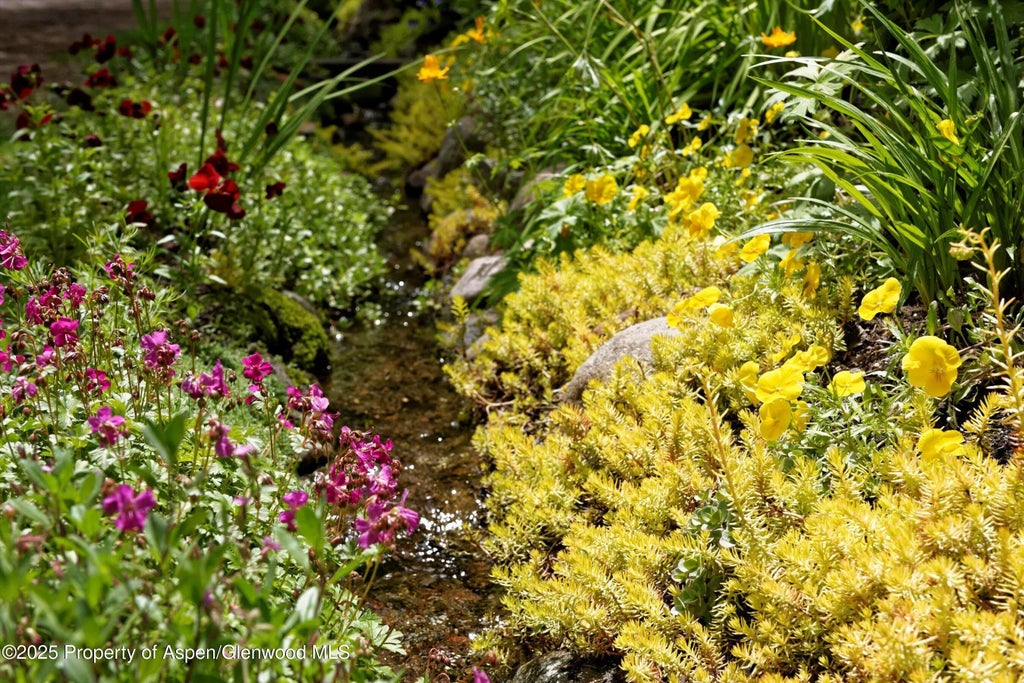 43 of 66 - 111 S Sixth Street Street, Aspen, CO