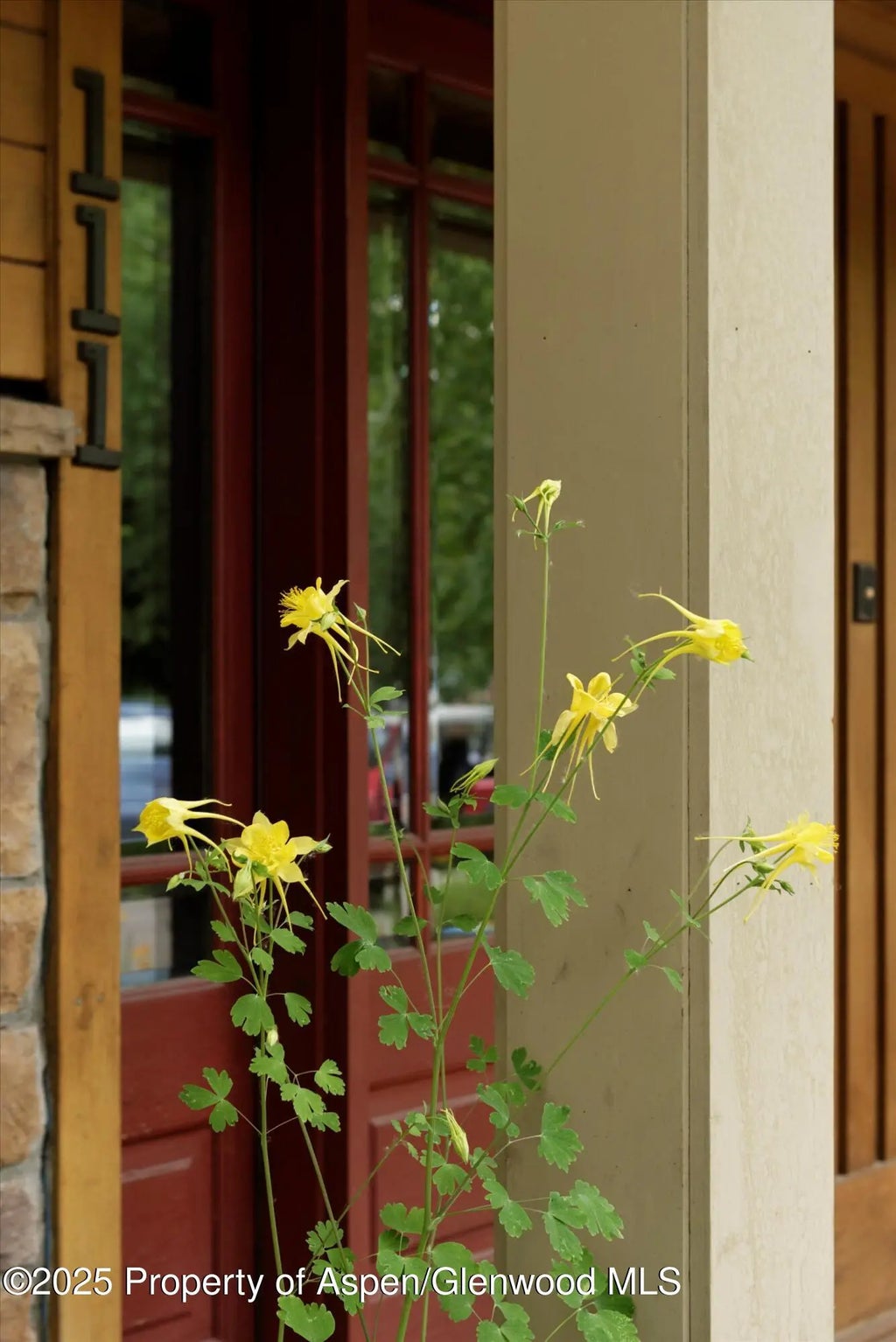 59 of 66 - 111 S Sixth Street Street, Aspen, CO