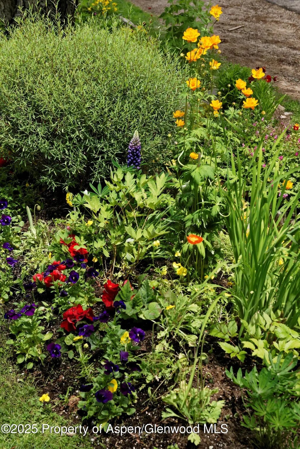 60 of 66 - 111 S Sixth Street Street, Aspen, CO