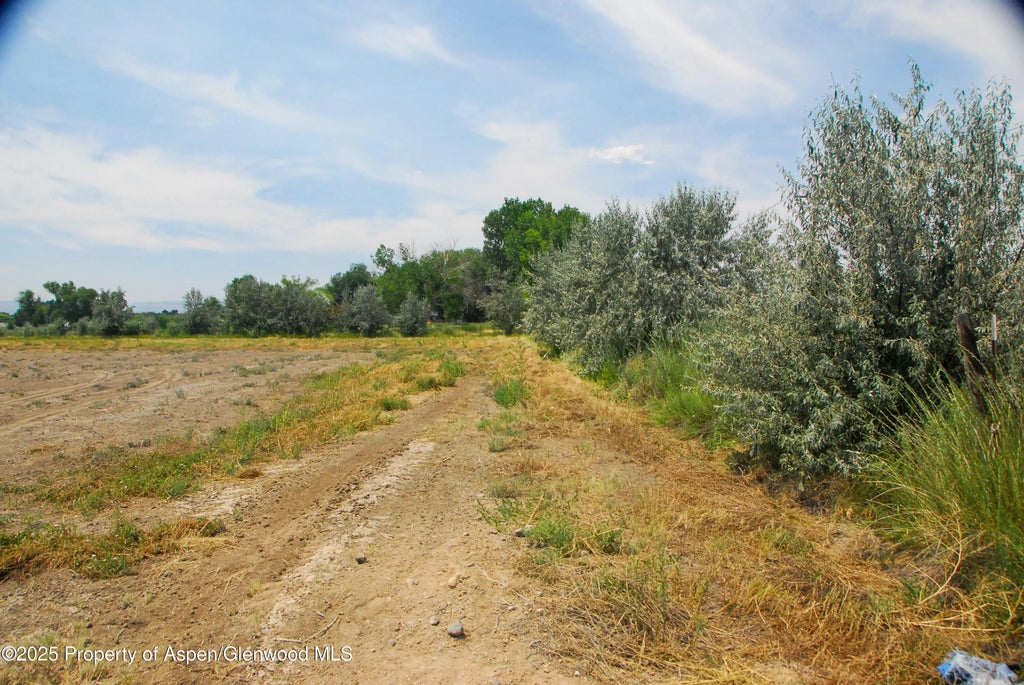 6 of 9 - 1637 I Road, Delta, CO