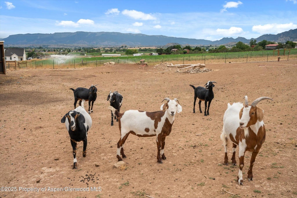 41 of 45 - 353 E Vista Drive, Silt, CO