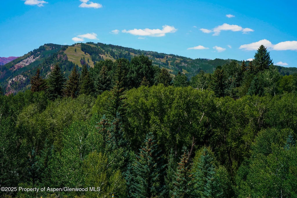 13 of 31 - Tbd N 8th Street, Aspen, CO