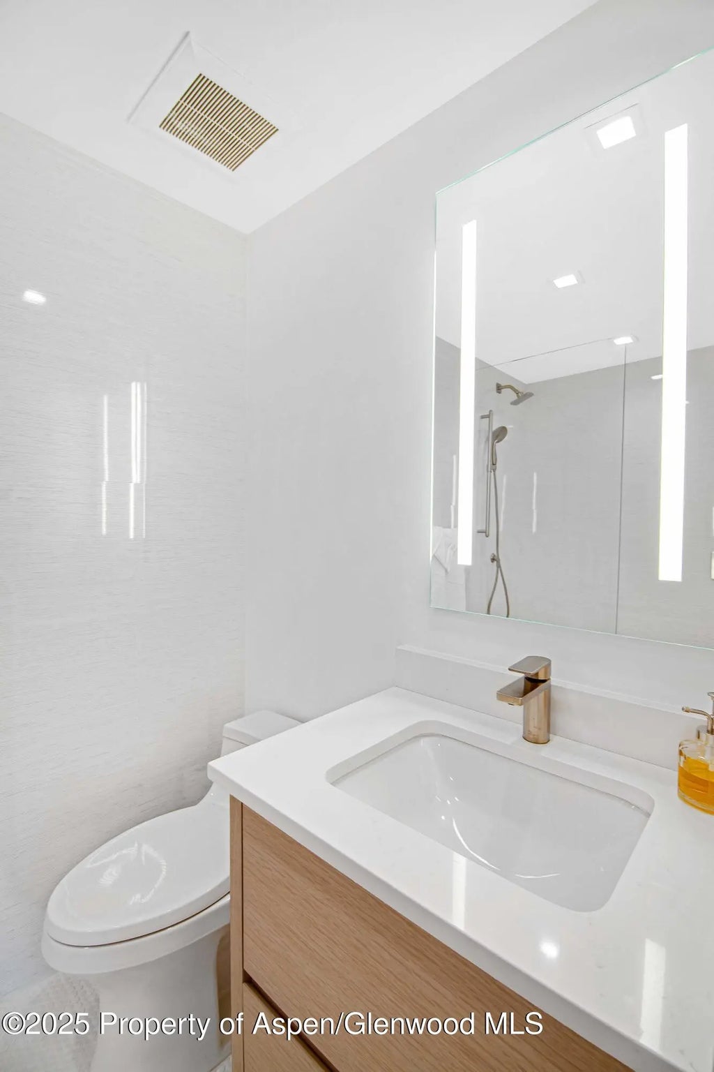 10 of 16 - 100 E Dean Street 3b, Aspen, CO