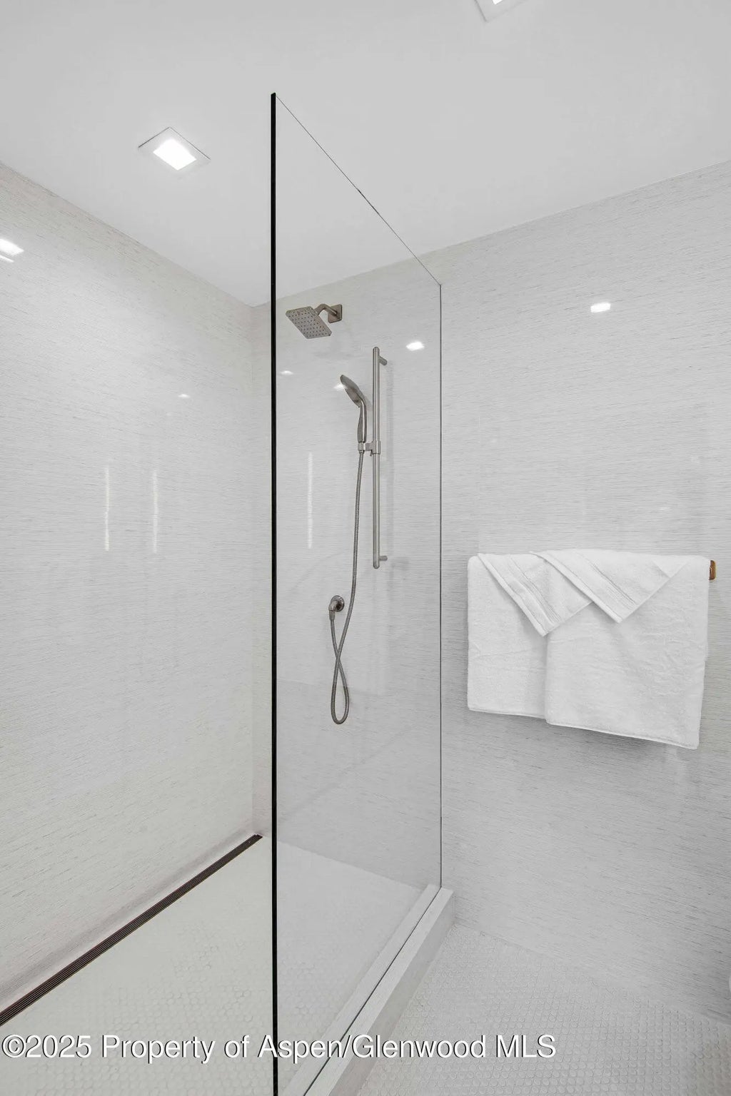 11 of 16 - 100 E Dean Street 3b, Aspen, CO