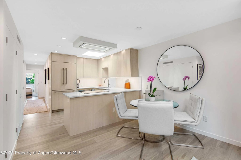 4 of 16 - 100 E Dean Street 3b, Aspen, CO