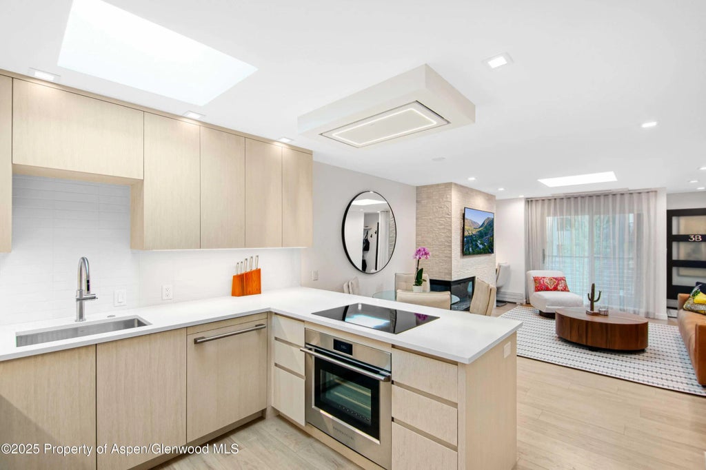 5 of 16 - 100 E Dean Street 3b, Aspen, CO