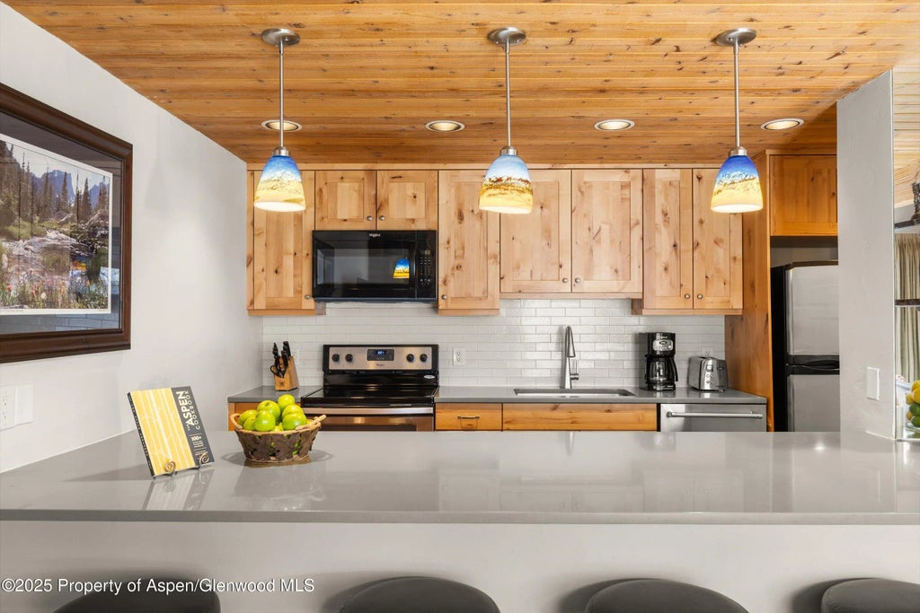 10 of 33 - 1039 E Cooper Avenue 21a, Aspen, CO