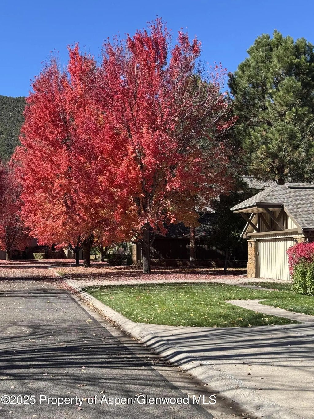 47 of 47 - 70 Golden Bear Drive, Carbondale, CO