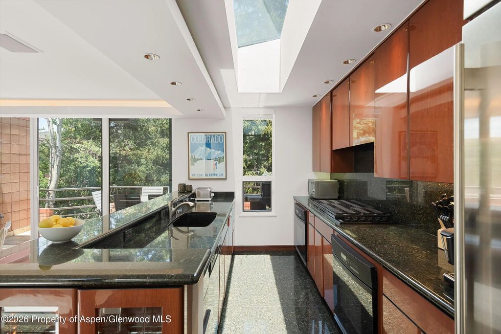 10 of 36 - 208 S Spring Street #1, Aspen, CO