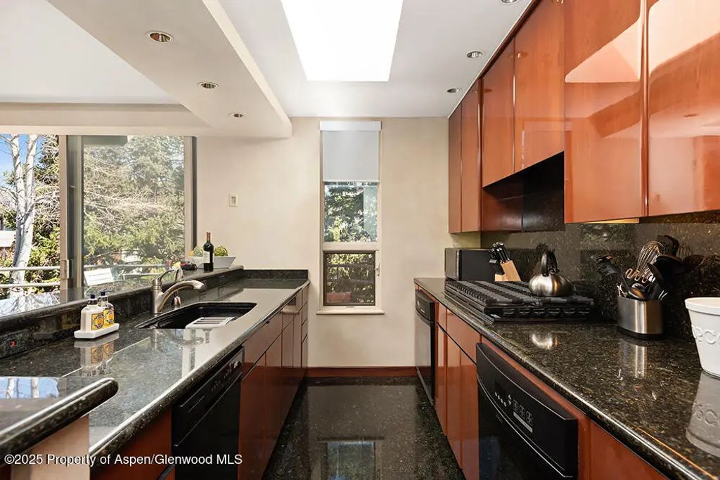 11 of 36 - 208 S Spring Street #1, Aspen, CO