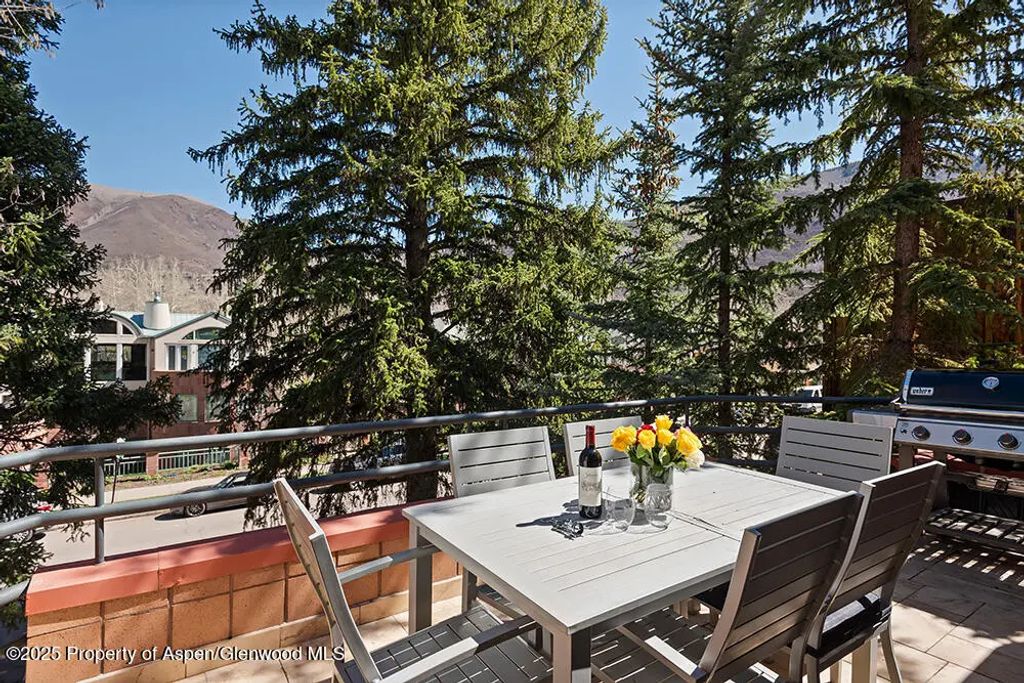 12 of 36 - 208 S Spring Street #1, Aspen, CO