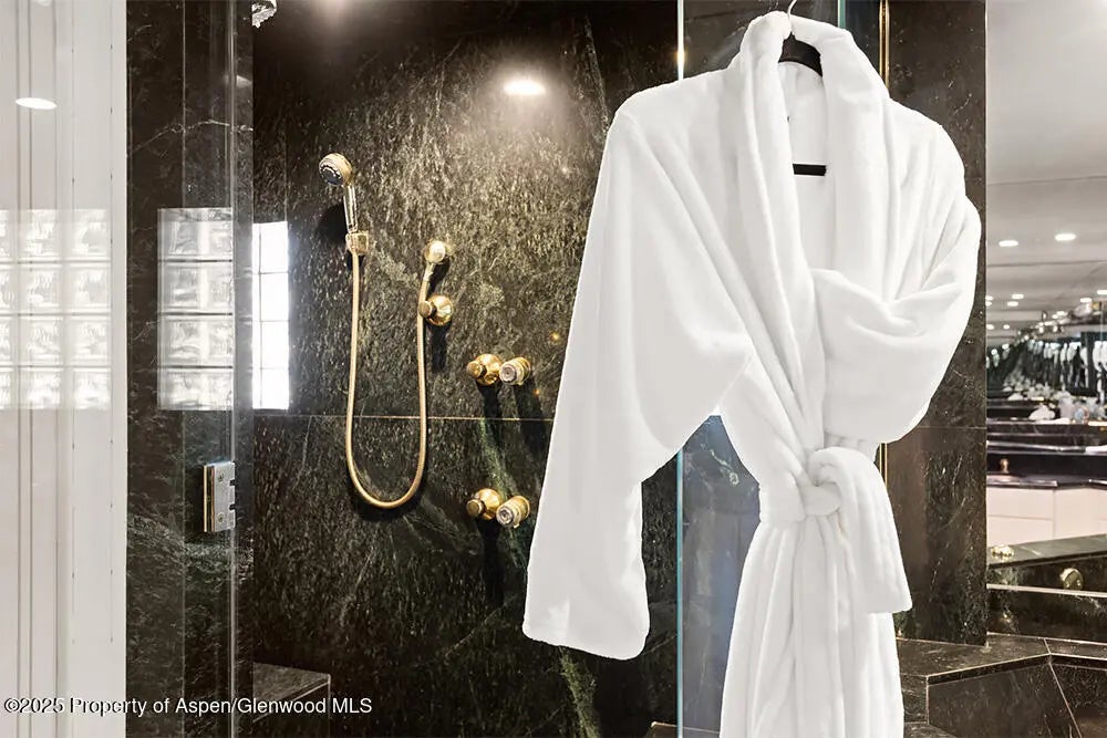 15 of 29 - 208 S Spring Street #1, Aspen, CO