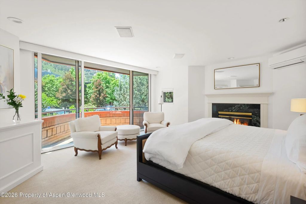 18 of 36 - 208 S Spring Street #1, Aspen, CO