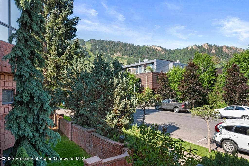 25 of 29 - 208 S Spring Street #1, Aspen, CO