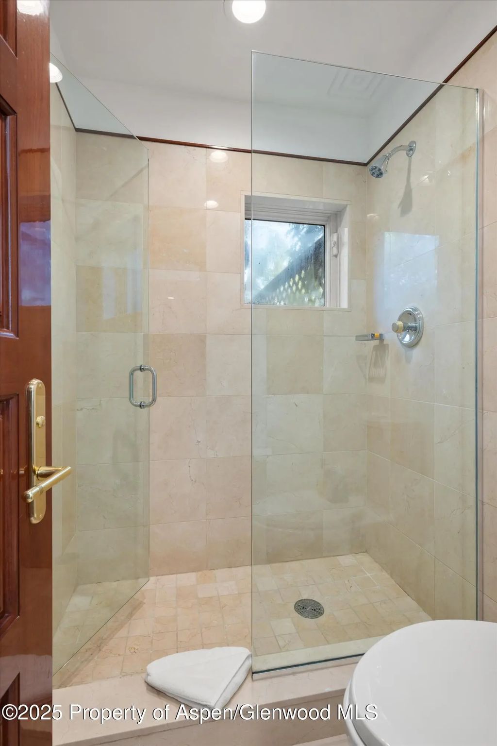 27 of 36 - 208 S Spring Street #1, Aspen, CO