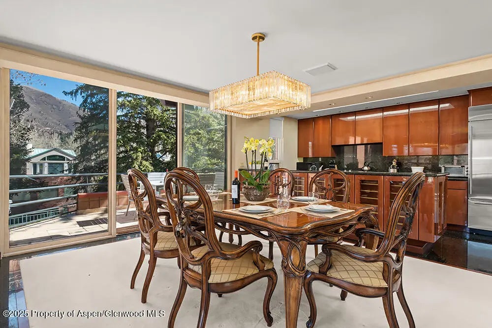 5 of 29 - 208 S Spring Street #1, Aspen, CO