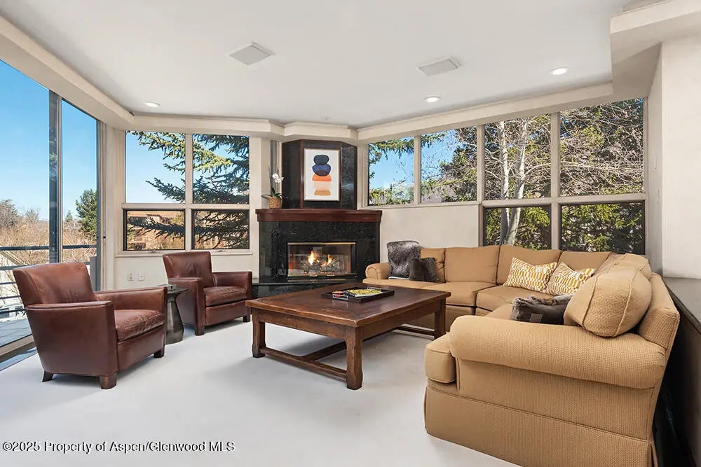 9 of 29 - 208 S Spring Street #1, Aspen, CO