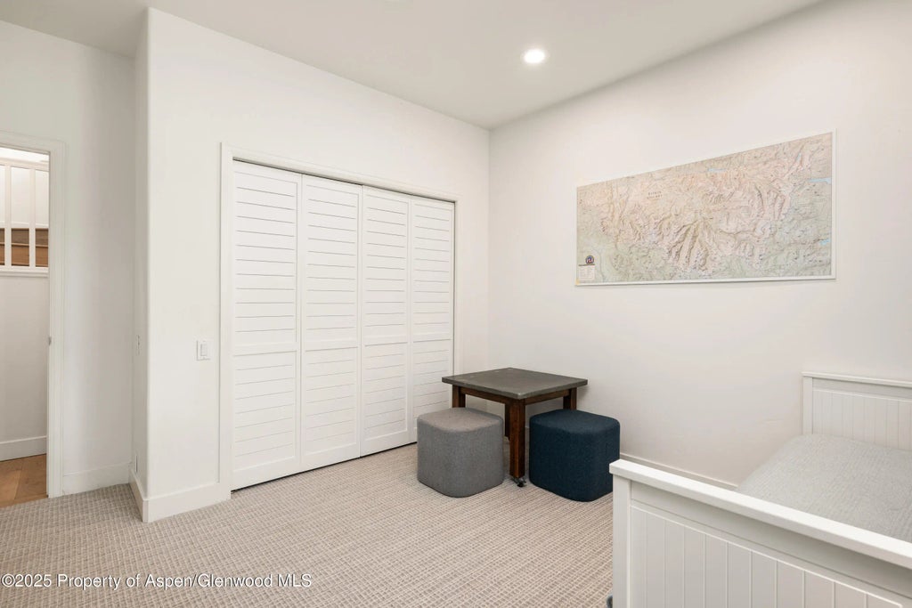 20 of 27 - 545 Evans Court, Basalt, CO
