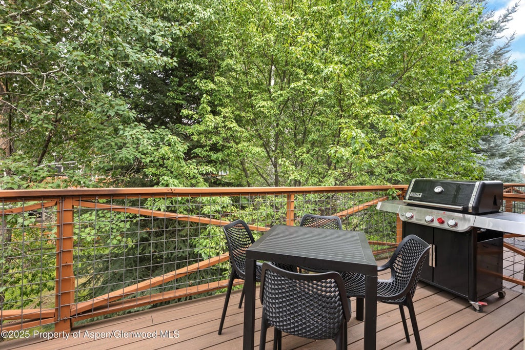 22 of 27 - 545 Evans Court, Basalt, CO