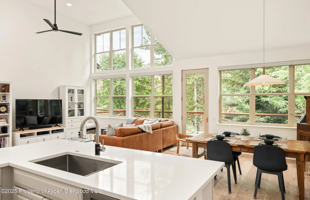 4 of 27 - 545 Evans Court, Basalt, CO