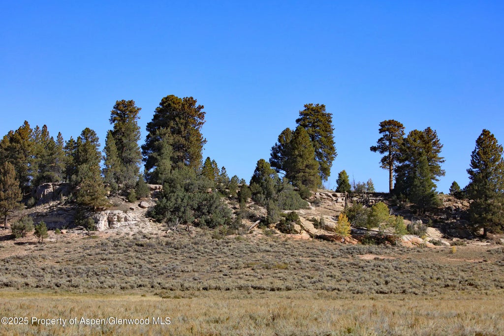 2 of 8 - Tbd Divide Road Louie Pasture, Whitewater, CO