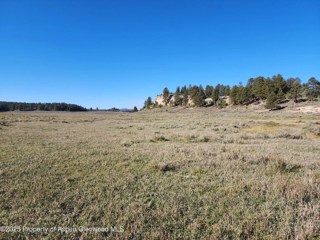 4 of 8 - Tbd Divide Road Louie Pasture, Whitewater, CO