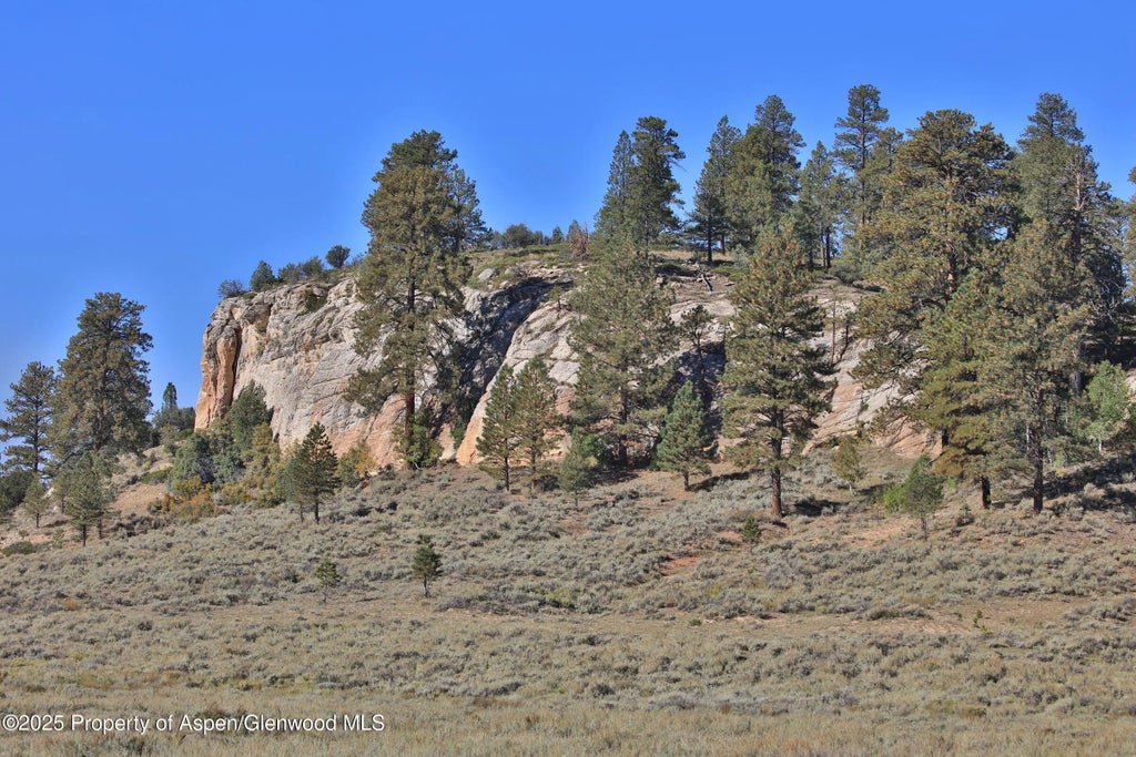 5 of 8 - Tbd Divide Road Louie Pasture, Whitewater, CO