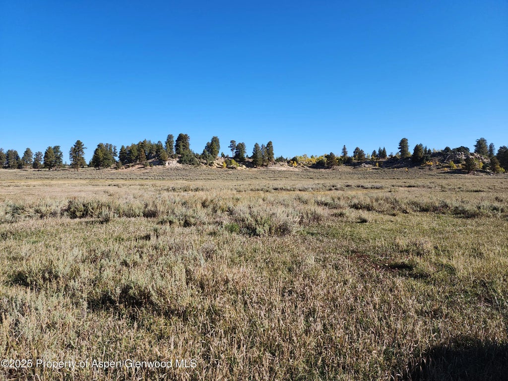 6 of 8 - Tbd Divide Road Louie Pasture, Whitewater, CO