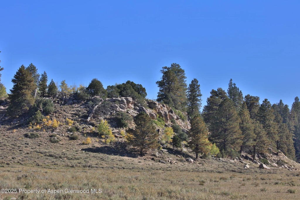 7 of 8 - Tbd Divide Road Louie Pasture, Whitewater, CO