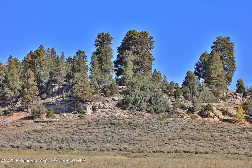 8 of 8 - Tbd Divide Road Louie Pasture, Whitewater, CO