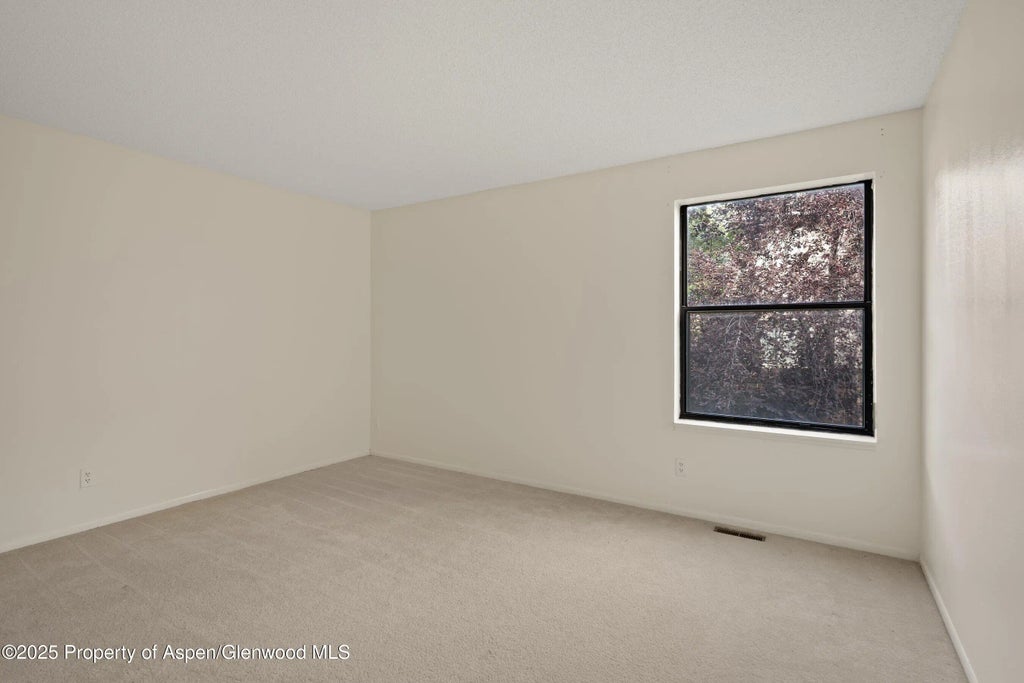 9 of 18 - 3800 Old Lodge Road A4, Glenwood Springs, CO