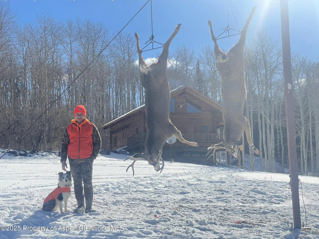 100 of 122 - 943 Routt Forest Drive, Craig, CO