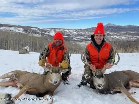 102 of 122 - 943 Routt Forest Drive, Craig, CO