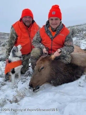 103 of 122 - 943 Routt Forest Drive, Craig, CO