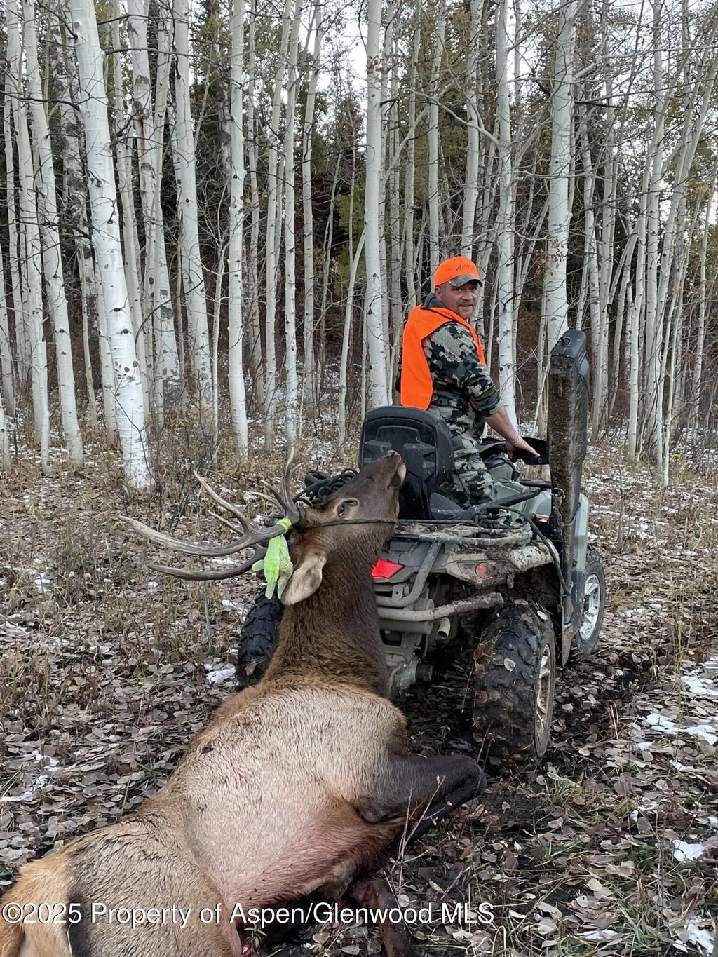 104 of 122 - 943 Routt Forest Drive, Craig, CO