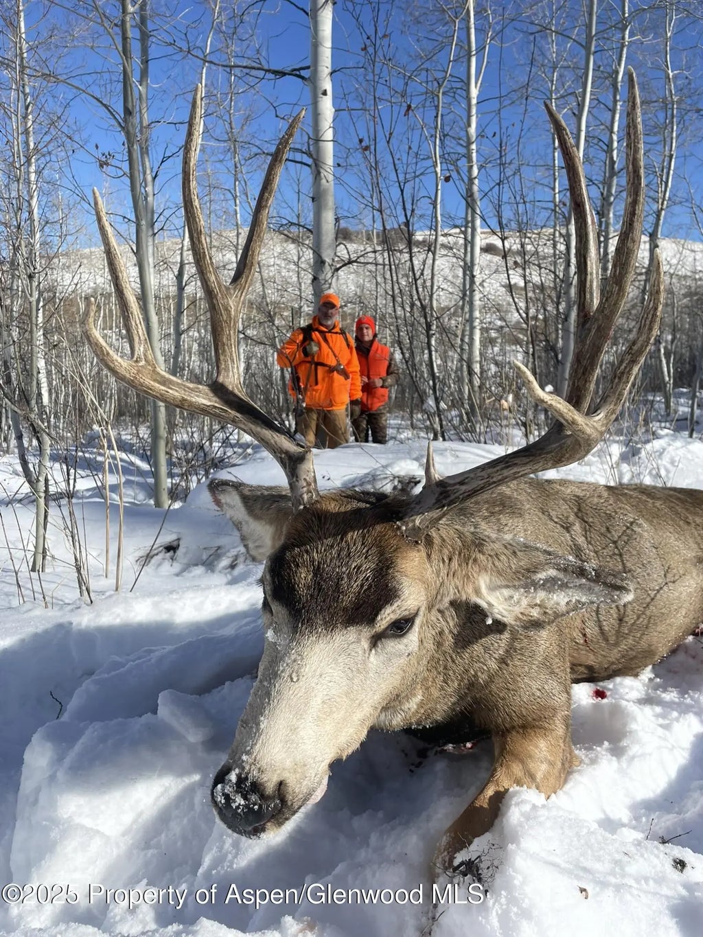 106 of 122 - 943 Routt Forest Drive, Craig, CO