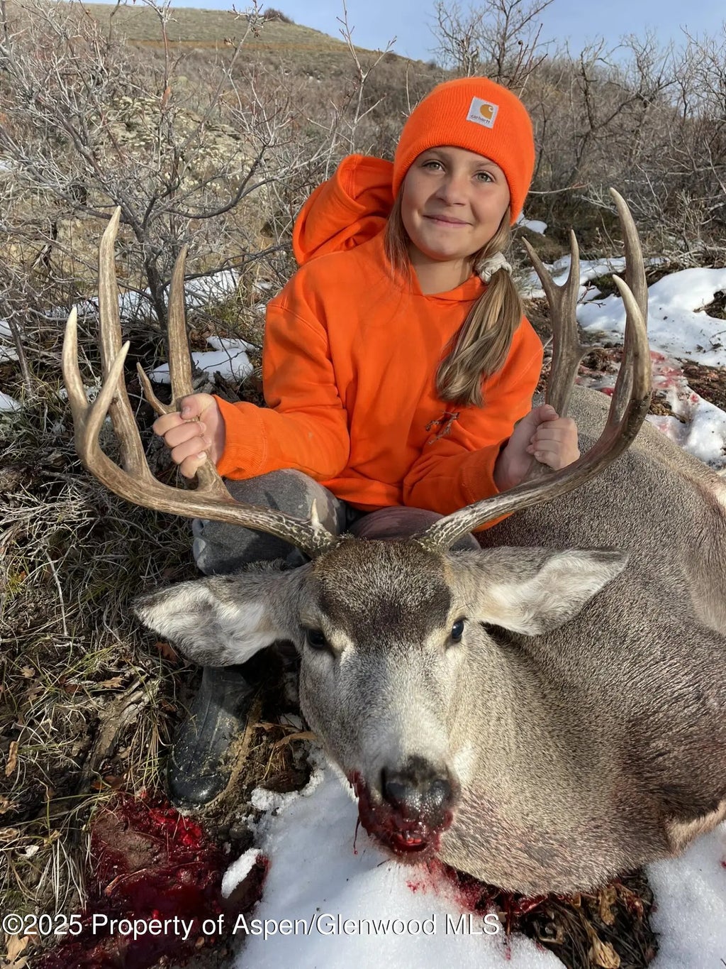 107 of 122 - 943 Routt Forest Drive, Craig, CO